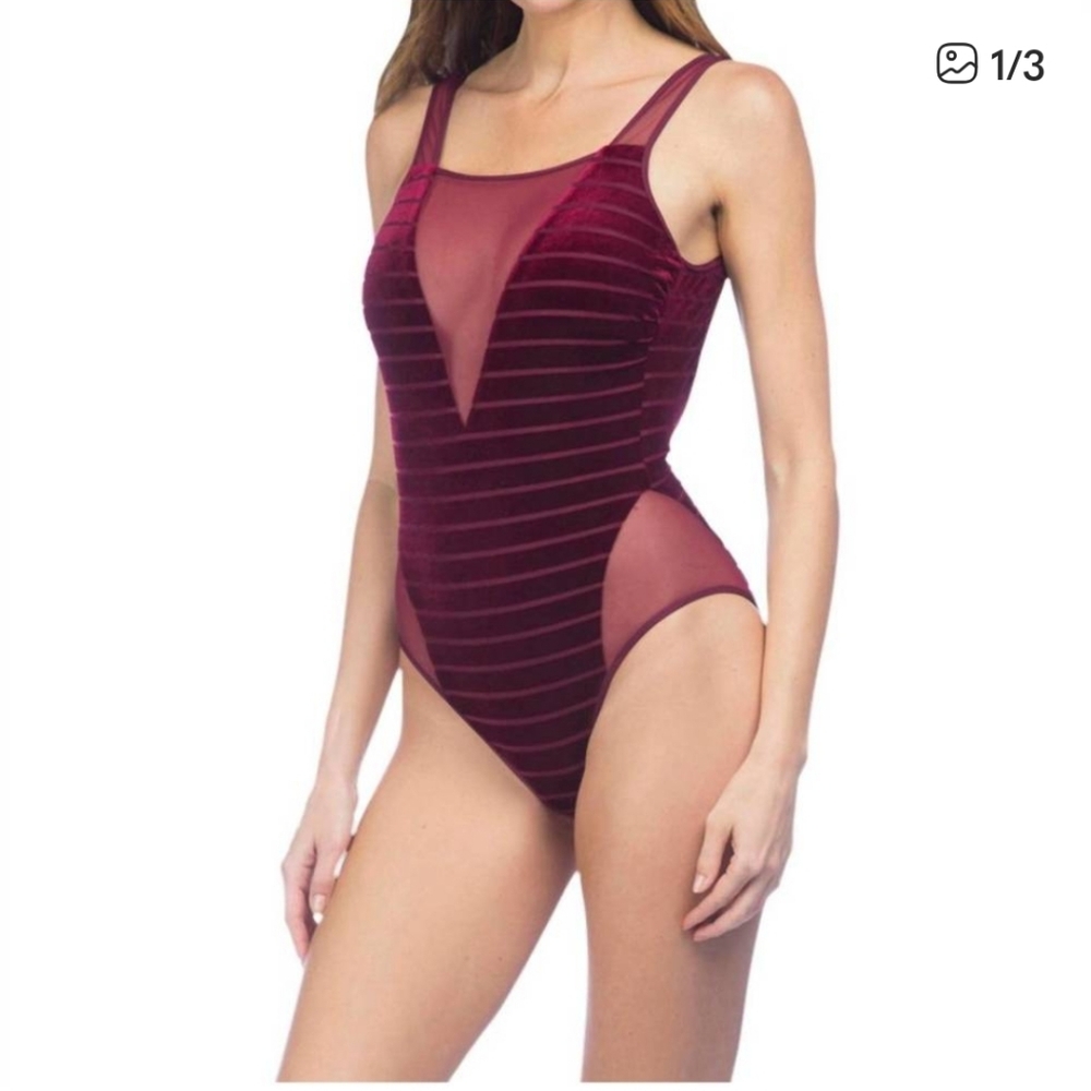 Kenneth Cole Burgundy Velvet Stripe Mesh One-Piece Swimsuit